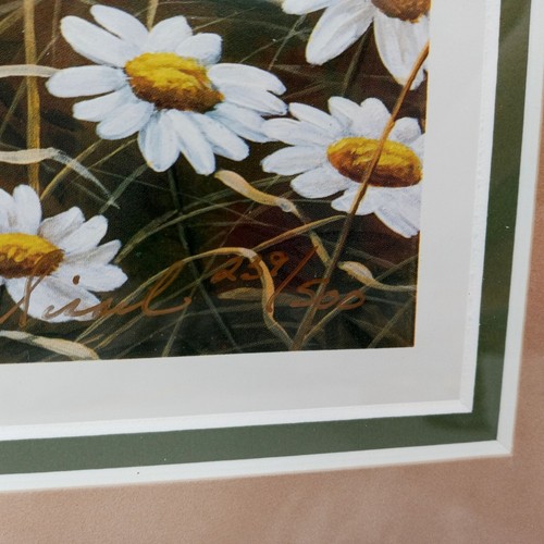 Baby Deer Framed Wall Art Print Limited Edition Signed COA Spring Meadow - Picture 8 of 20
