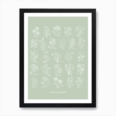 Floral Alphabet | Salbeigrün Kunst Pr Gerahmtes Wandbild Poster Leinwanddruck Bild