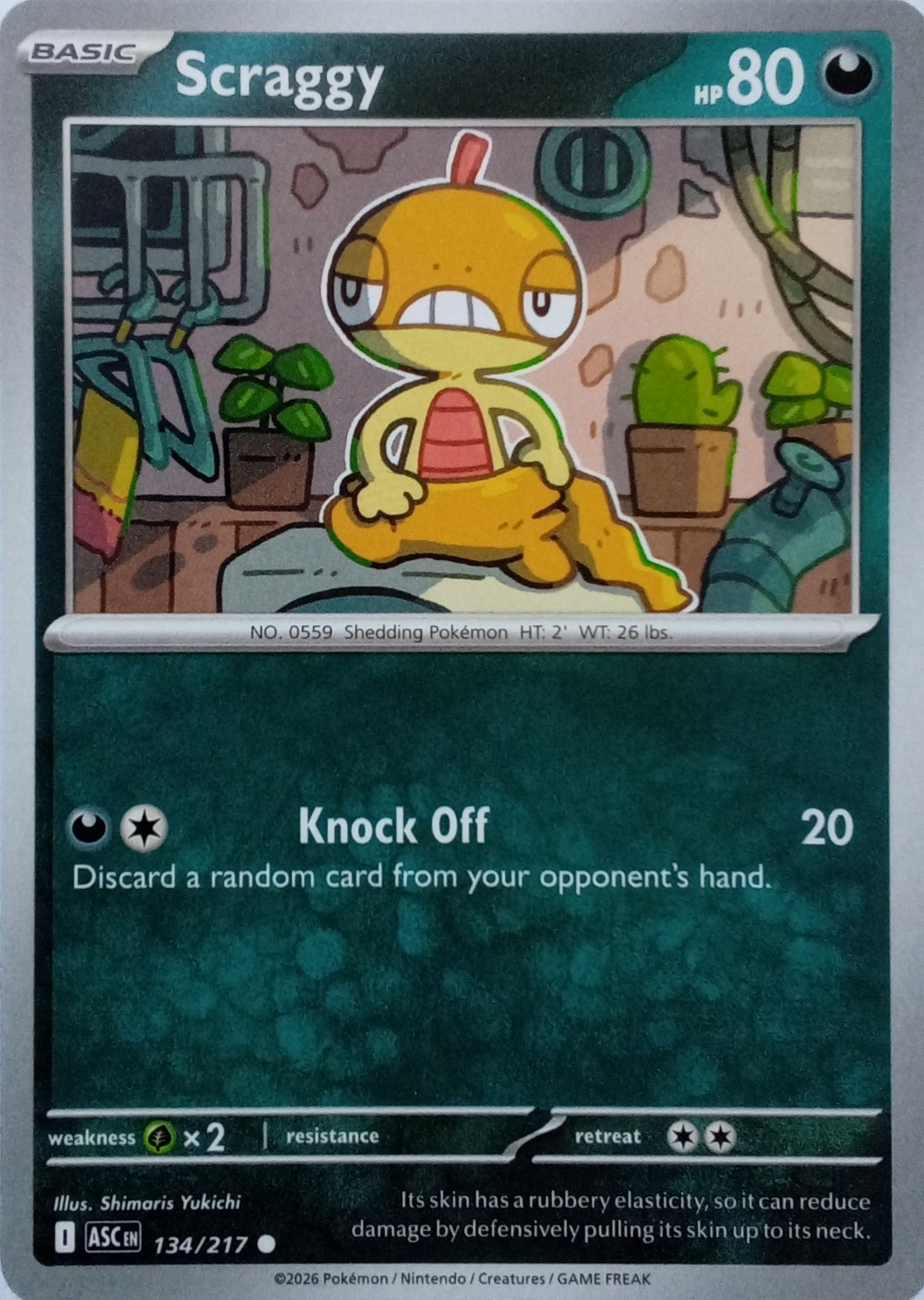 134/217 SCRAGGY | COMMON | ASCENDED HEROES POKEMON CARD