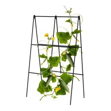 Primrose Folding A Frame Plant Support Black Metal Cucumber Trellis 1m