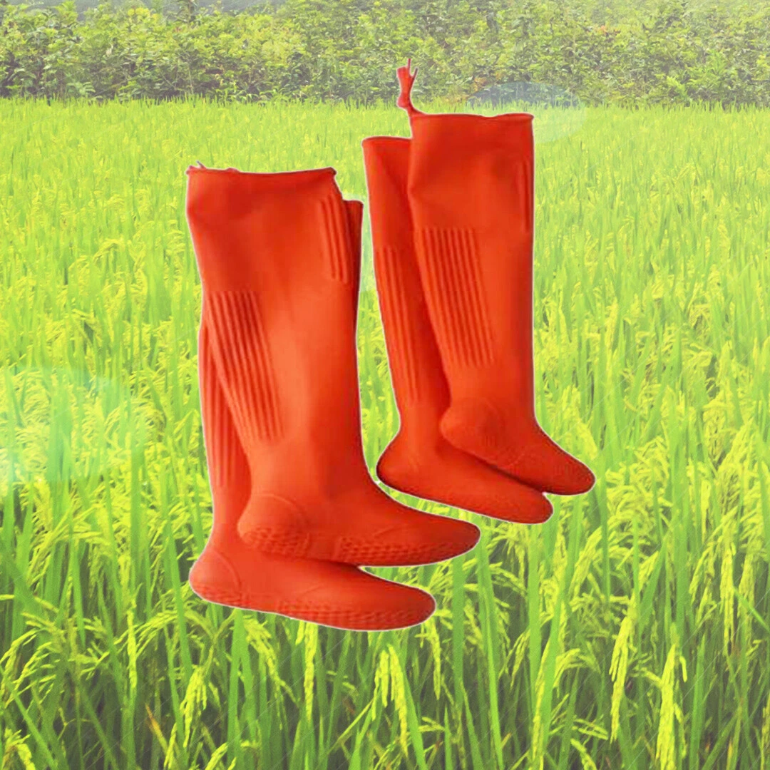 Share more than 150 agriculture safety shoes kenmei.edu.vn