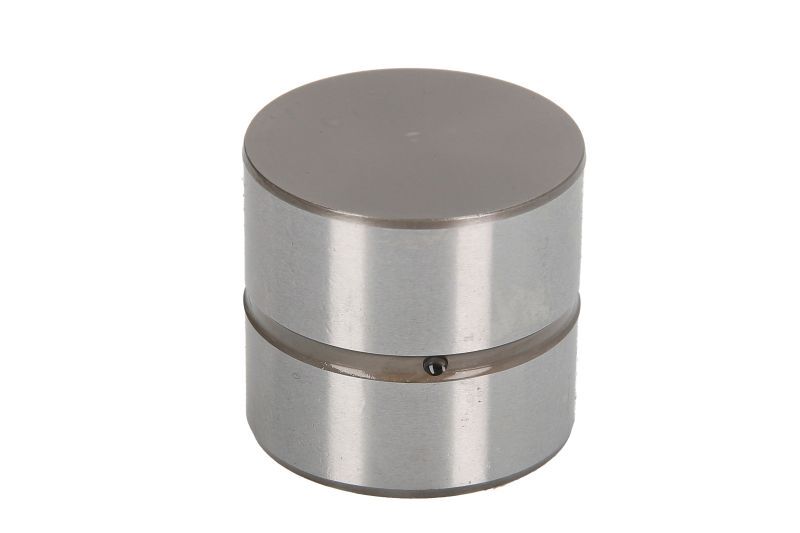 Fits INA 420 0220 10 Tappet DE stock | eBay