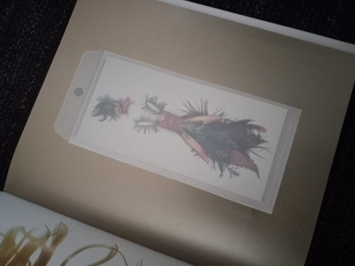 Fairie-ality Fashion Collection House of Ellwand by Eugenie Bird First Edition - Imagen 3 de 6