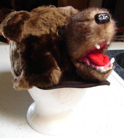 BEAR HAT cub scout costume CAP plush CHICAGO bears ADULT mens women COMFY & WARM - Picture 3 of 7