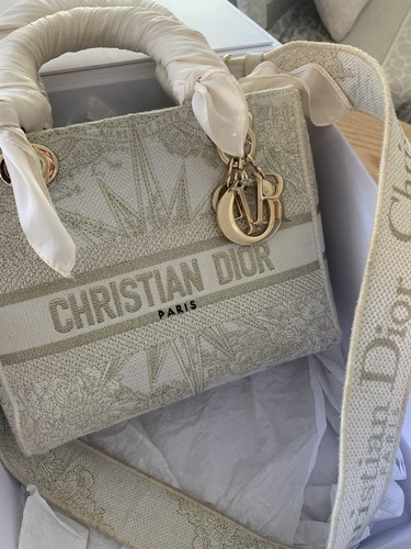 Dior Handtasche Canvas Beige + Schultergurt