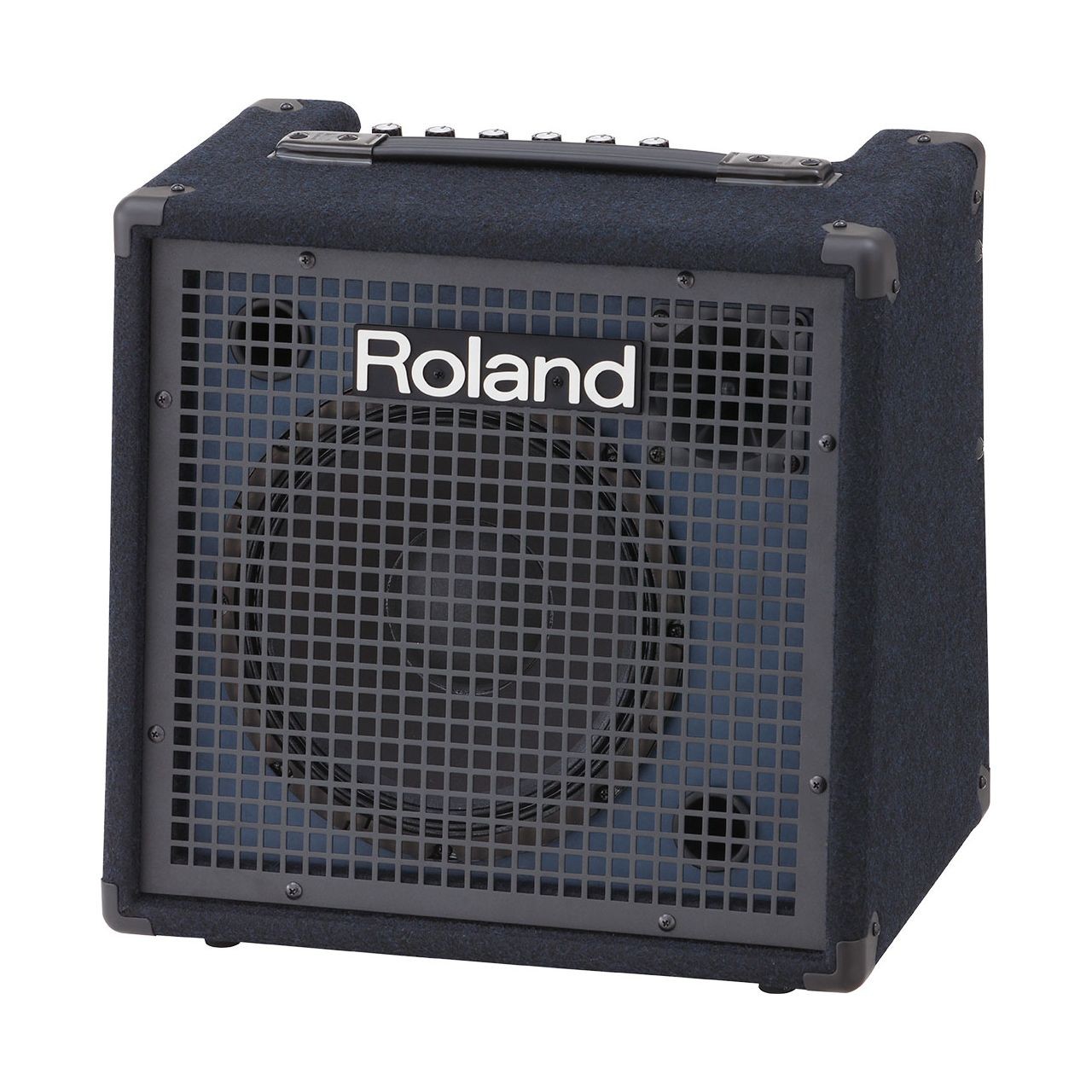 ROLAND KC-80 Keyboardverstrker 85290₽