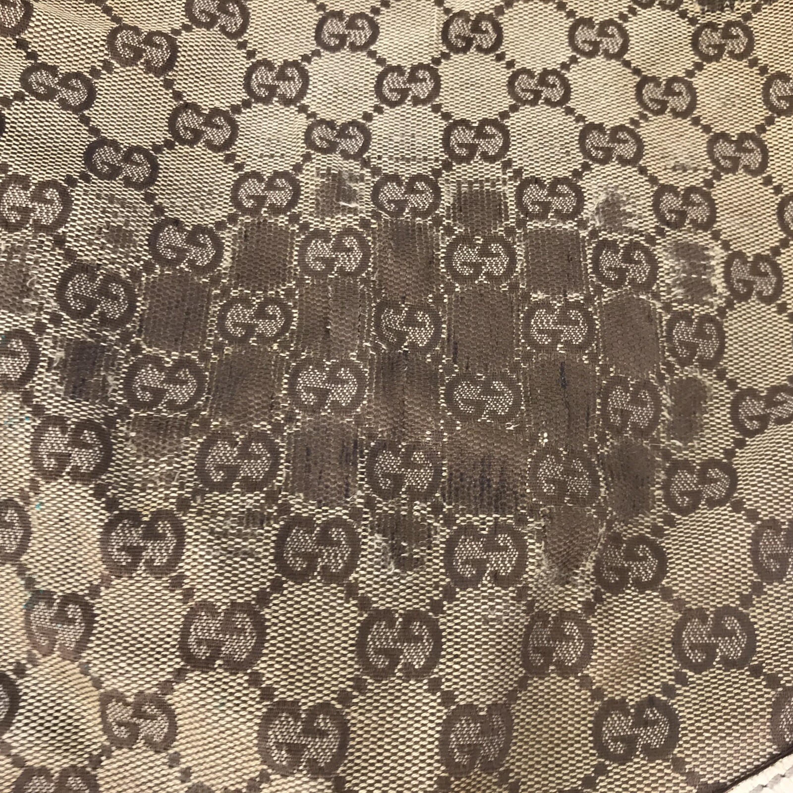 Picture 6 of 21