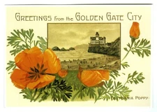 SAN FRANCISCO GOLDEN GATE CITY GREETINGS w/CLIFF HOUSE~NEW 1981 POPPIES POSTCARD