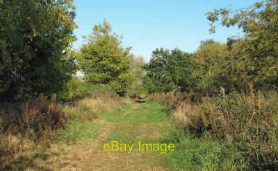Photo 6x4 Bridleway along the Green Epping Green The east section of Eppi c2011
