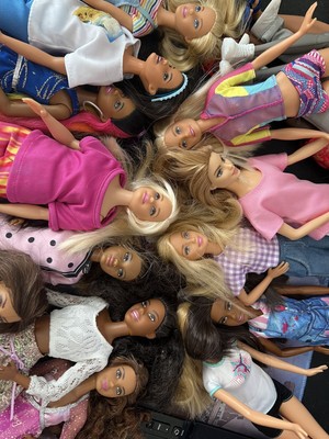 Mattel Barbie Fashionista or Career Doll Different Styles/Types