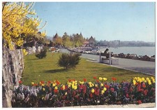 Rolle Switzerland, Vintage PC, Flowery Quays and the Castle