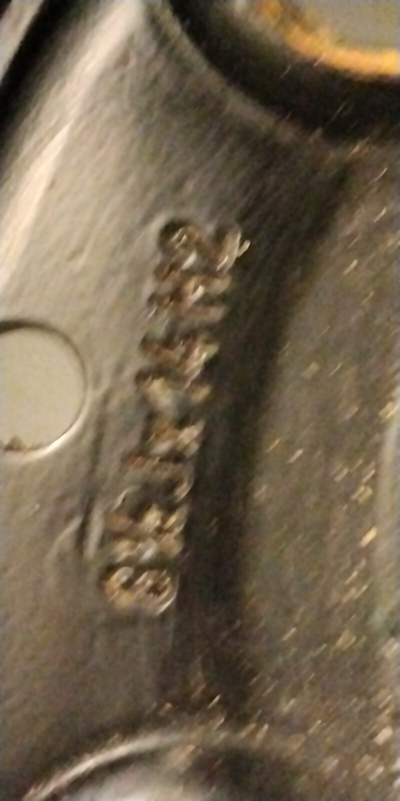 Picture 7 of 12