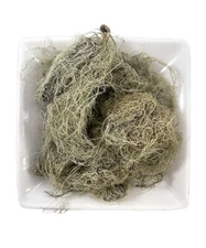 Usnea Lichen Whole (Usnea barbata) Wild Crafted Old Man's Beard Moss #1 RATED