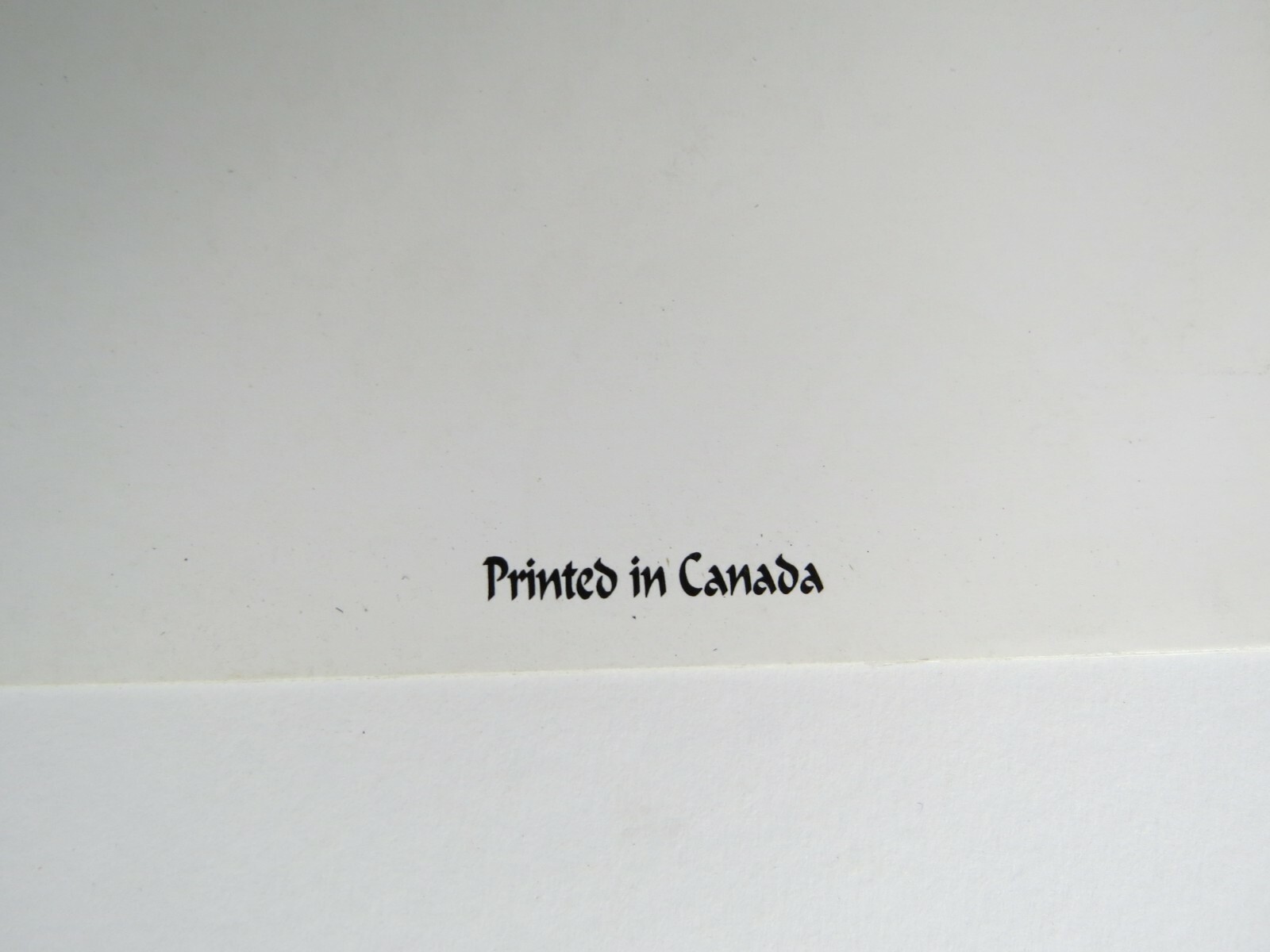 Art print poster Lithograph Lady of Shalott JW Waterhouse canoe female Medieval 