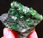 Bild 6 von 11