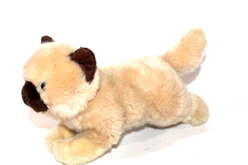 Siamese Kitten Himalayan Cat Cream Brown Blue Eyes Toys R Us Plush 9" Lovey Toy - Picture 1 of 11