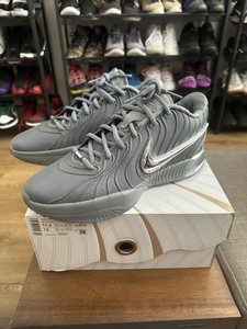 Lebron 21 Cool Grey | eBay