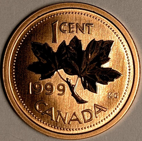Canadian 1999 SPECIMEN MAPLE LEAF Cent - 501