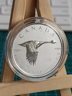 2020 2oz Canada Flying Goose $10 DOLLARS SILVER Genuine Coin 50 000 MINTAGE (9)