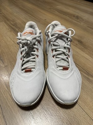 Nike LeBron XXI 21 Akoya Light Bone Campfire Orange FV2345  display picture 2