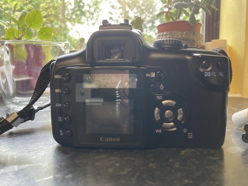 Canon EOS 300D Digital SLR Camera - Black with 28-90mm canon Lens - Picture 3 of 12