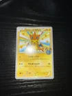 Pikachu 098/Xy-p Mega Tokyo Poncho Wearing Charizard Promo