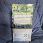 Disney’s The Great And Powerful: Evanora — photo 2