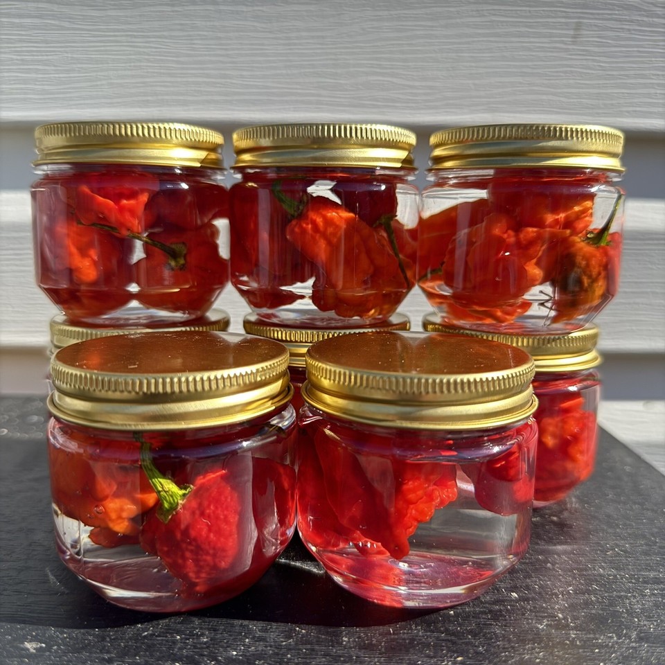 Carolina Reaper Sottaceto - Peperoncini Super Piccanti California Blazing Chile Farms, 4 Porzioni
