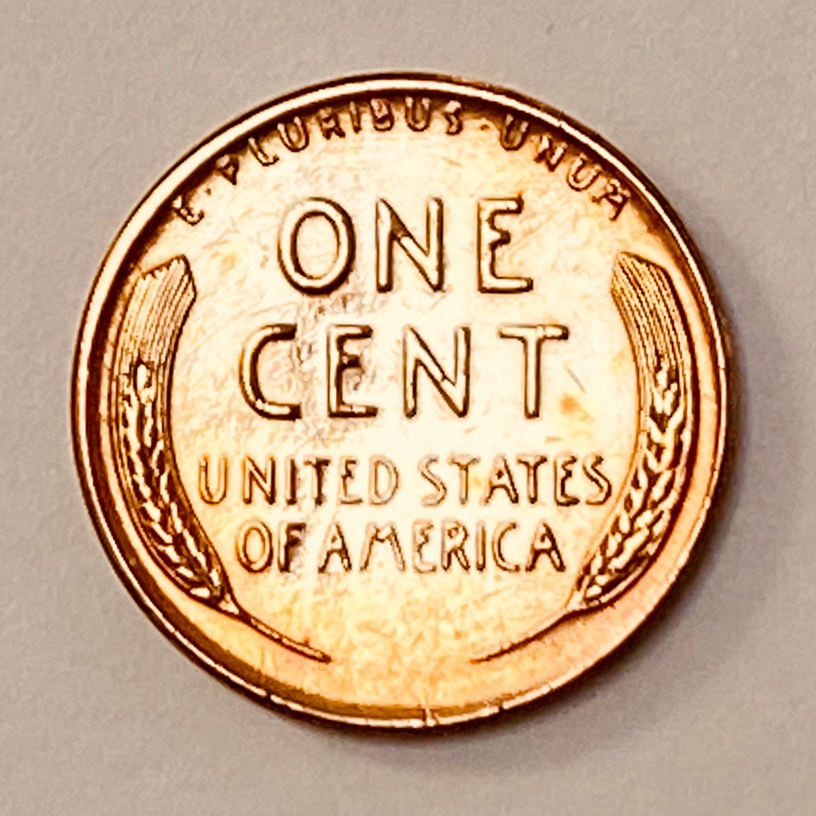 Picture 20 of 22