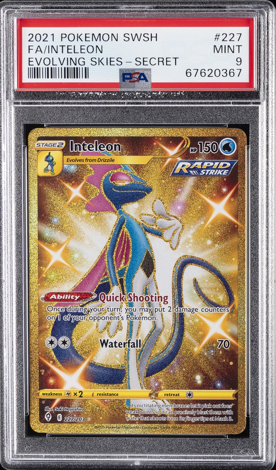 Inteleon #227