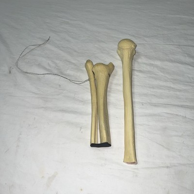 Lot of 2 Sawbones Human Femur and Tibia/Fibula Anatomical Bone Models Orthopedic