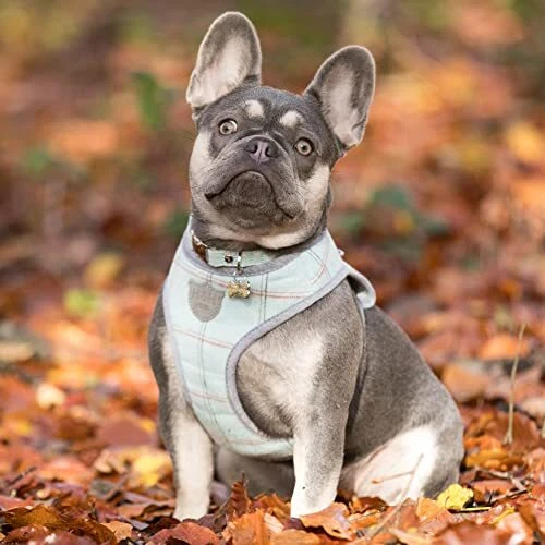 Dog Harness, No-Pull Anti Choke Tweed Harness Vest, M Medium Aqua Checkered Dog Harness, No-Pull Anti Choke Tweed Harness Vest, M Medium Aqua Checkered