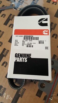 CUMMINS BELT,V RIBBED 4004824 | eBay
