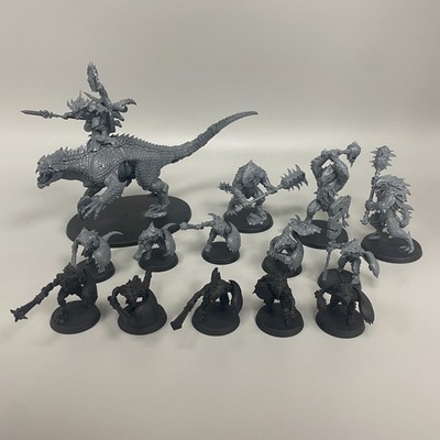 SERAPHON/LIZARDMEN Bundle Warhammer Age of Sigmar Fantasy Saurus Oldblood