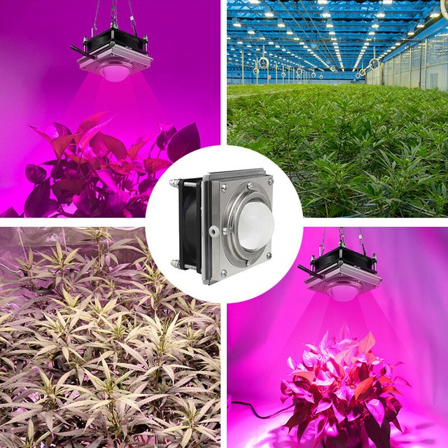 UV Growing Lamp LED Grow Light Full Spectrum Lamp For Indoor Plant
