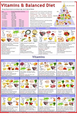 Balanced Diet & Vitamin Chart - Laminated ( 50 x 70 cm )