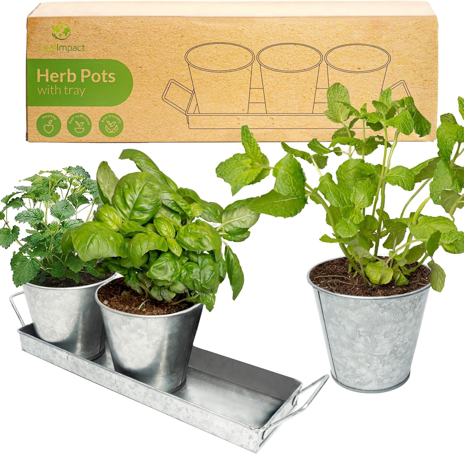 Herb Planter Indoor Galvanised Steel Pot for Kitchen Windowsill Garden