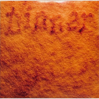 Rolrolrol / DINNER (LP) / Ilian Tape / ITLP22 / 12 Inch