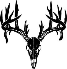 Deer Buck Skull Antlers Vinyl Decal Deer Buck Skull Antlers Vinyl Decal
