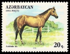 AZERBAIJAN 356 - Domestic Horses "Akhalteka Horse" (pb76292)