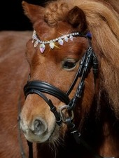 Trense VERONA Leder Glitzer Stirnband Tropfen Minishetty Shetty Minipony Tysons