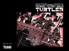 TMNT Vol. I #1 1st Printing 40th Anniversary ...