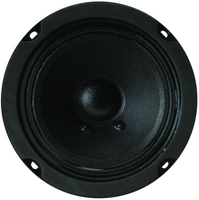 5 inch guitar speaker