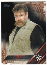 2016 Topps WWE Wrestling Bronze Parallel #49 Zeb Colter