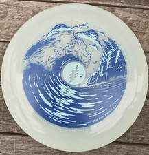 BROKEDOWN RIP ROBERT HUNTER POSTER ART FRISBEE 175gm glow / grateful dead