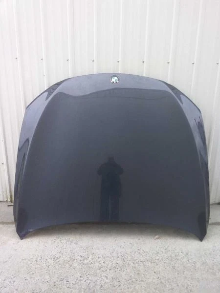 (LOCAL PICKUP ONLY) Hood Fits 09-15 BMW 750i 2614672 Foto 4 de 4