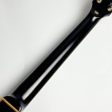 E-II EC-DB E-Gitarre Vintage Black 3,69 kg