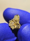 NWA 6704 Ungrouped Achondrite Meteorite 0.883g Crystal Fragment Rare COA — photo 9