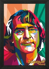 Joaquin Phoenix popart Framed Wall Art Poster Canvas Print Picture