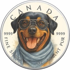  2026 Canada 1oz 9999 Silver BU Smiles & Style Colouriized